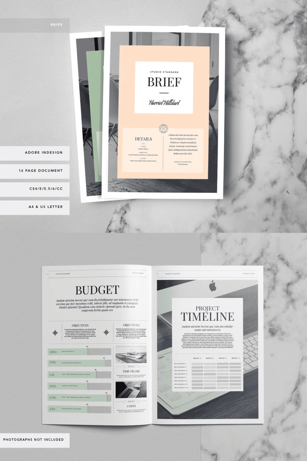Kingsley Brief Template - Siteoutsite