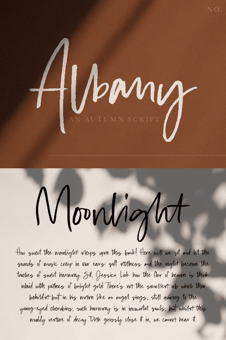 Albany | An Autumn Script - Siteoutsite