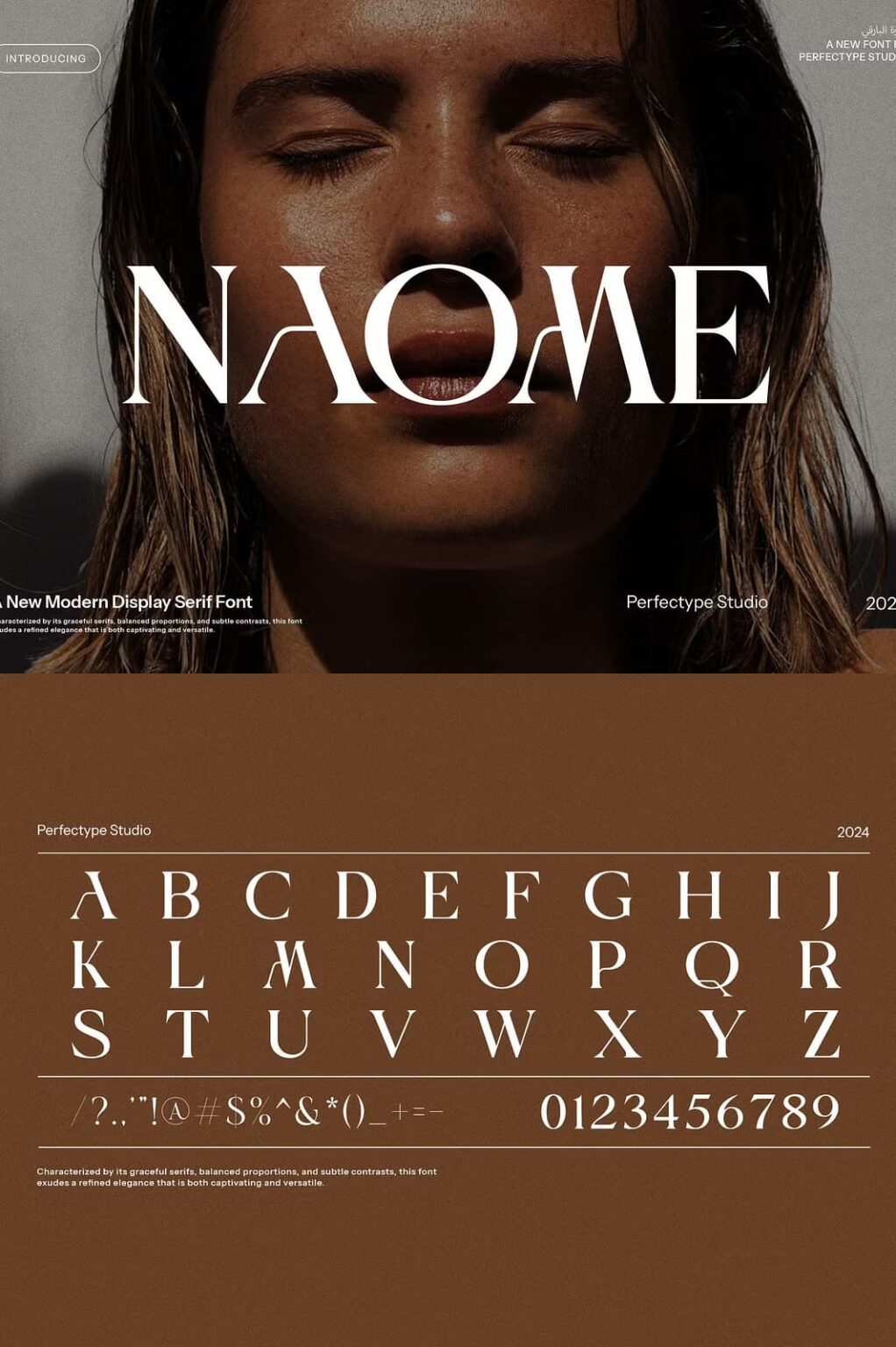 Naomi Modern Serif Font - Siteoutsite